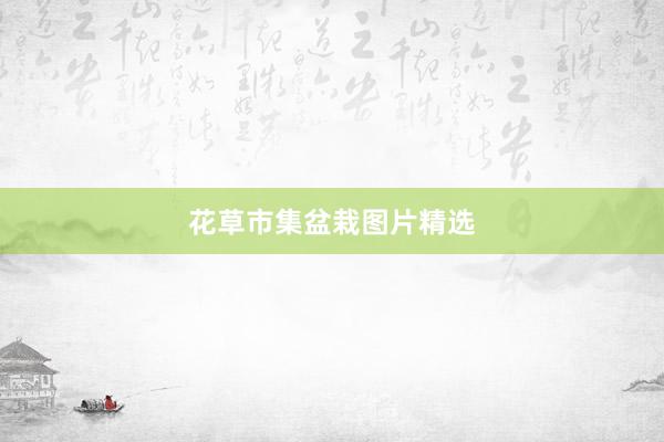 花草市集盆栽图片精选