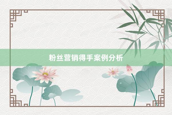 粉丝营销得手案例分析